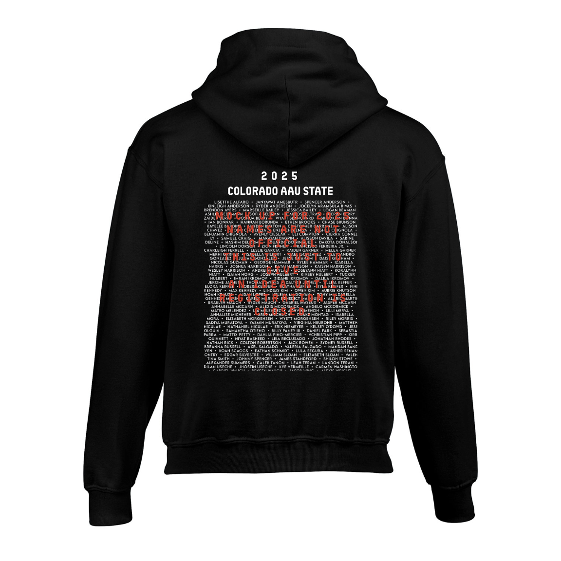 2025 AAU TKD Hoodie
