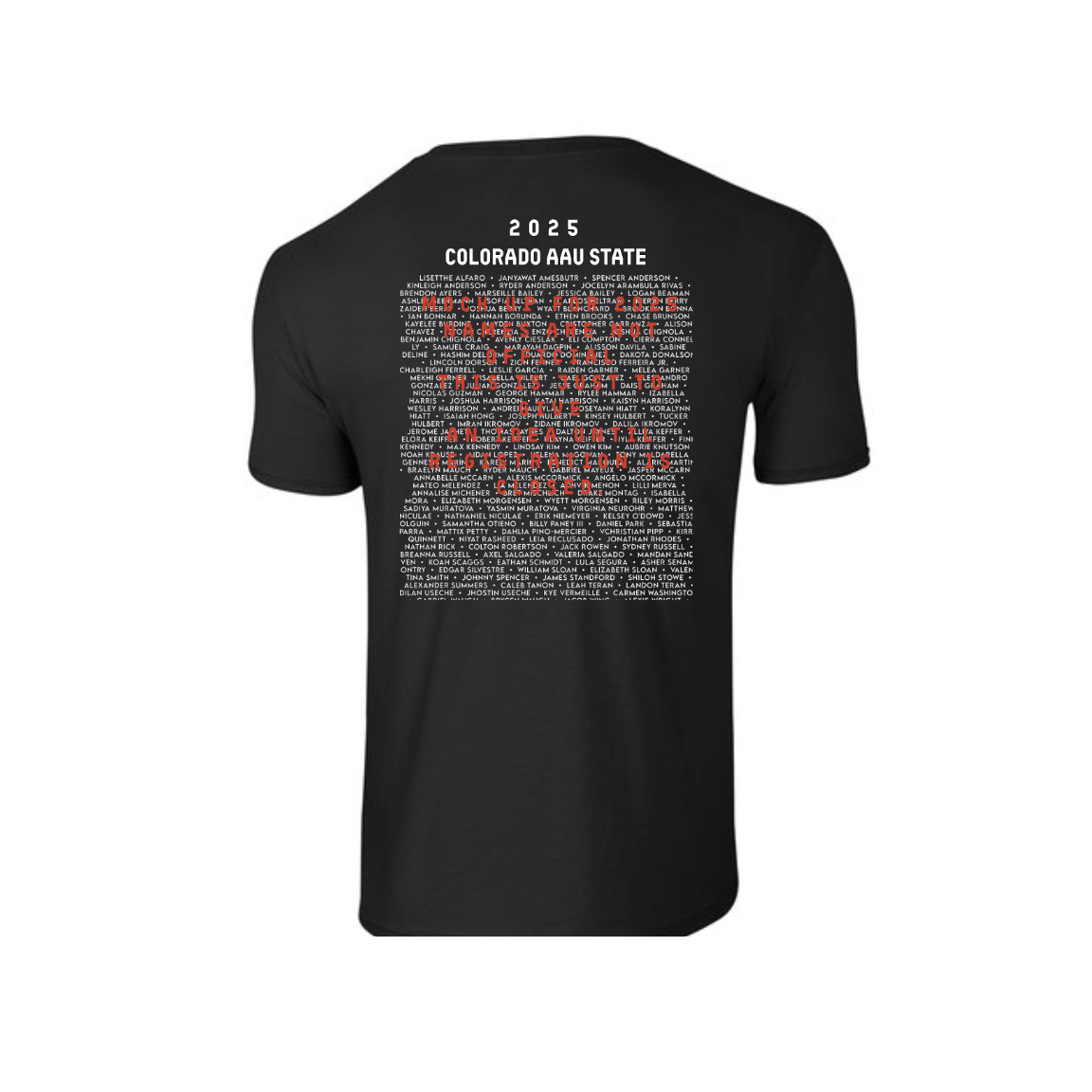 2025 AAU TKD Shirt